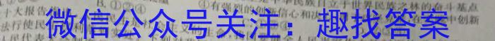 河北省2023-2024学年度第一学期九年级完美测评④政治~