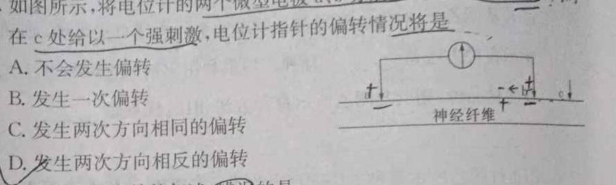 智慧上进 广东省2023-2024学年高三11月统一调研测试生物学部分