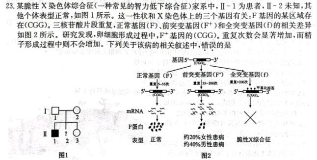 ʡУһ꼶202311