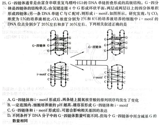 百师联盟 2024届广东省高三12月联考生物