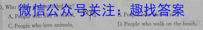 安徽省2024届耀正优+12月高三名校阶段检测联考英语