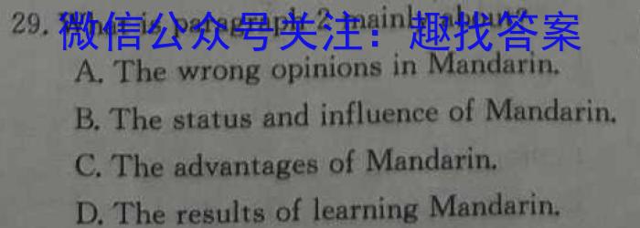 学林教育 2023~2024学年度九年级第一学期第二阶段巩固练习英语