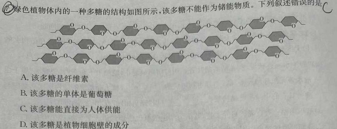 百师联盟·江西省2023-2024学年度高二年级上学期阶段测试卷（三）生物