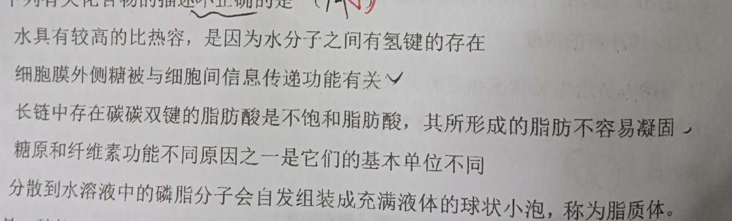 山东省泗水县2023-2024学年第一学期高二年级期中考试生物