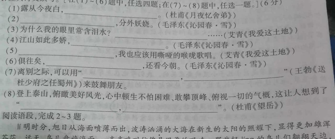 [今日更新]24届高三年级TOP二十名校调研考试七语文试卷答案