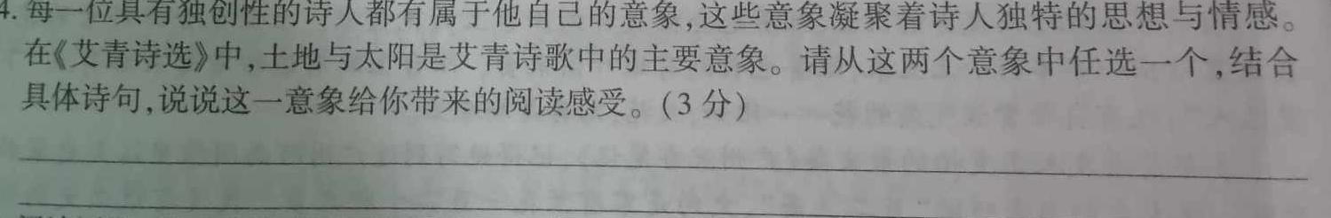 [今日更新]［河南大联考］河南省2024届高三年级上学期12月联考语文试卷答案