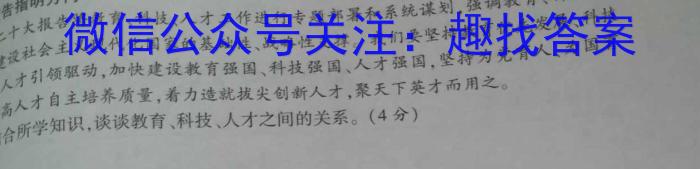 安徽省2023-2024学年度第一学期九年级学科素养练习（二）政治~