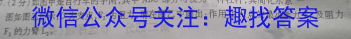 2024年普通高等学校招生统一考试 最新模拟卷(二)f物理