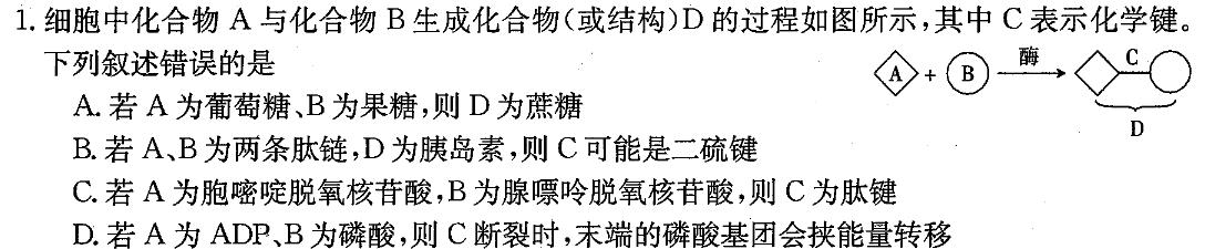 2024届衡水金卷先享题调研卷(B)(二)生物