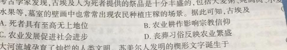 2023年广西三新学术联盟高一年级12月联考历史