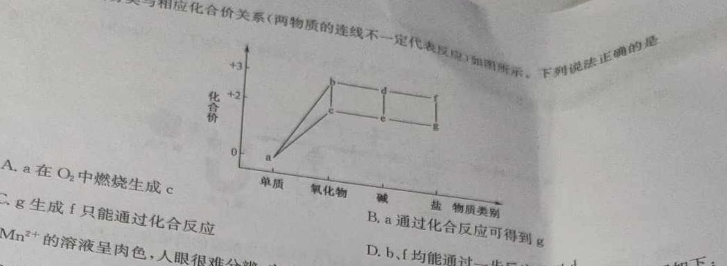 1NT2023-2024学年第一学期12月高二阶段测试卷化学试卷答案