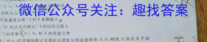 炎德英才大联考 长郡中学2023年下学期高二期中考试l物理