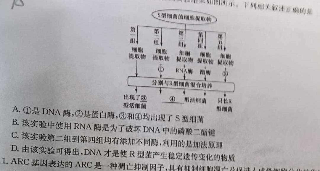 重庆市2023-2024学年高三年级上学期第二次调研考试生物
