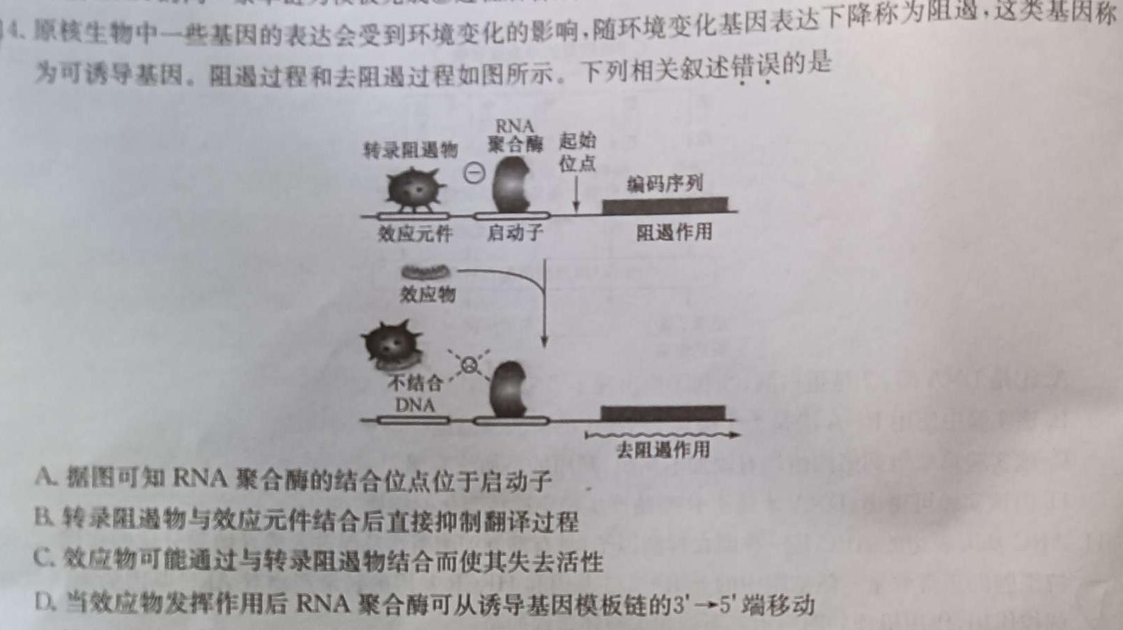 高考快递 2024年普通高等学校招生全国统一考试信息卷(二)2新高考版生物学部分