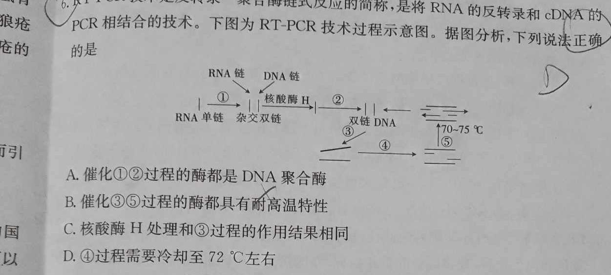 江西省南昌县2024届九年级第一学期第三次月考生物