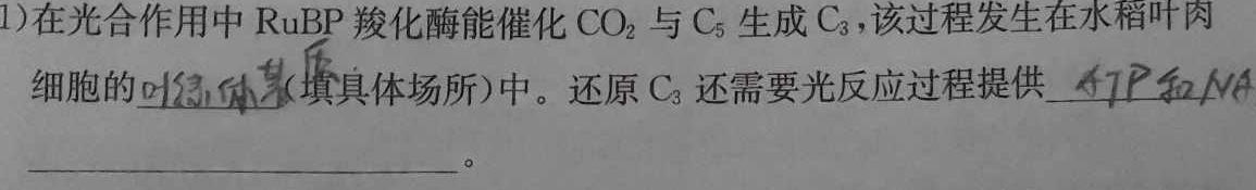 安徽省2024届第一学期九年级12月阶段练习生物学部分