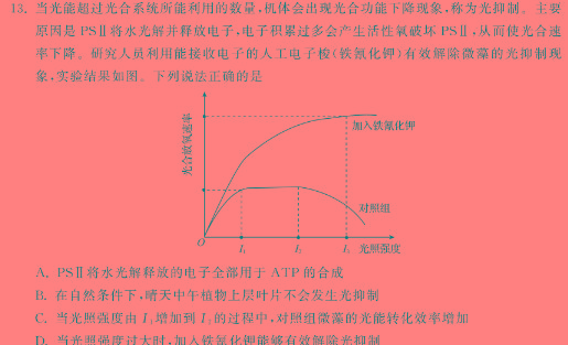 [桂柳文化]2024届高考桂柳鸿图模拟金卷(一)生物学部分