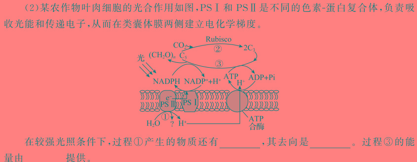 文海大联考·2024届高三期中考试生物