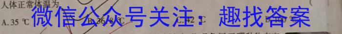 江西省2024届九年级上学期第四阶段练习物理`