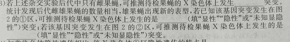 重庆市2023-2024学年高三年级上学期第二次调研考试生物