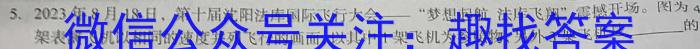 湖北省2024届高三湖北十一校第一次联考q物理