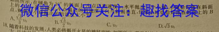 安徽省滁州市天长市2023-2024学年度（上）九年级第二次质量检测l物理