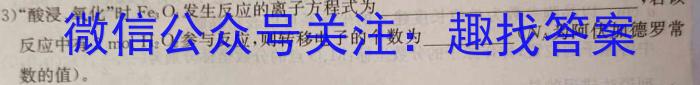 j炎德英才大联考 雅礼中学2024届高三月考试卷(四)化学试卷答案