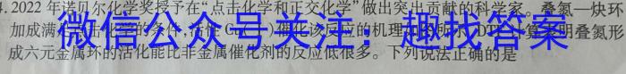 3河北省2024届九年级12月第三次月考化学试题