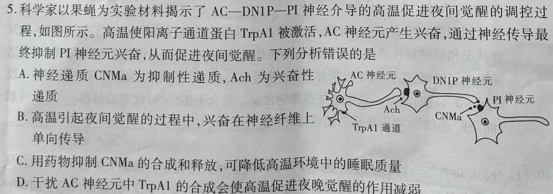 2024届衡水金卷先享题分科综合卷全国乙卷一生物