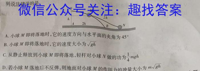 2023年江西省年南昌市南昌县九年级第二次评估检测q物理