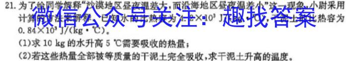 河北省2023~2024学年高二(上)质检联盟第三次月考(24-175B)q物理