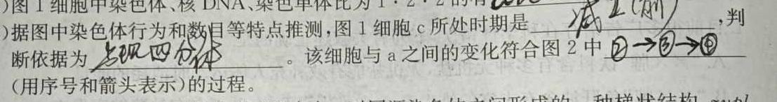 2024届衡水金卷先享题分科综合卷全国乙卷一生物