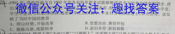 陕西省2023-2024学年度第一学期九年级期末调研试题（卷）A历史试卷