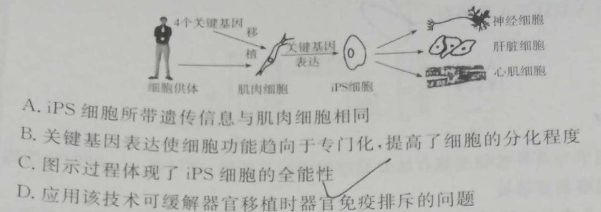 江西省“三新”协同教研共同体2023年12月份高一年级联合考试（❀）生物