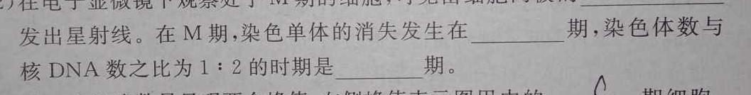 2024届智慧上进 名校学术联盟·高考模拟信息卷押题卷(一)1生物
