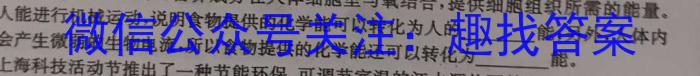 江西省2024届九年级阶段评估(二) 3L R物理`