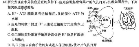 2024届甘肃省高三阶段检测(○)生物