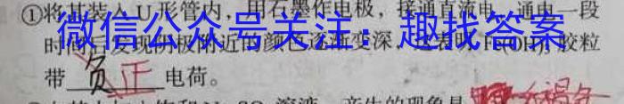 32024年普通高等学校招生全国统一考试仿真模拟卷(二)化学试题