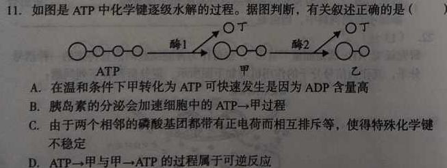 陕西省2023-2024学年度第一学期九年级课后综合作业（三）A生物学部分