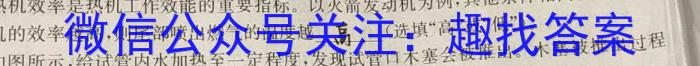 江西省2024届八年级第三次月考f物理