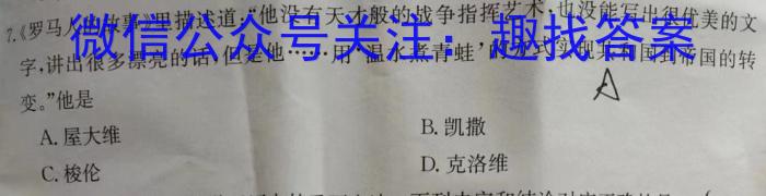 江西省2024届九年级上学期第三阶段练习历史