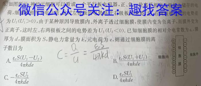 江西省新余市2023-2024年度上学期初二第二次阶段性练习q物理