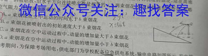 广东省2024届高三级12月“六校”联考（4204C）物理`