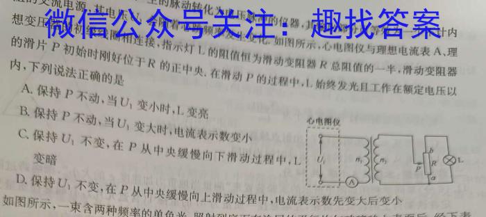 金考卷 百校联盟(新高考卷)2024年普通高等学校招生全国统一考试 领航卷(1)物理`