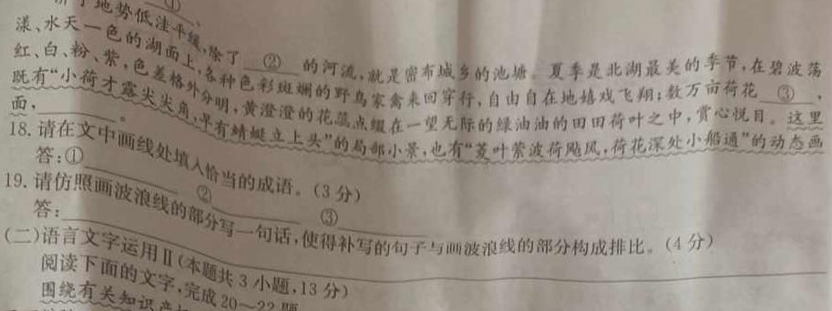 [今日更新]2023-2024年度河南省高三一轮复习阶段性检测(五)5(24-240C)语文试卷答案