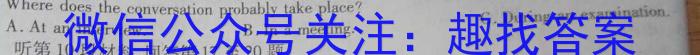 河南省2023~2024学年九年级上学期阶段性学情分析(三)英语