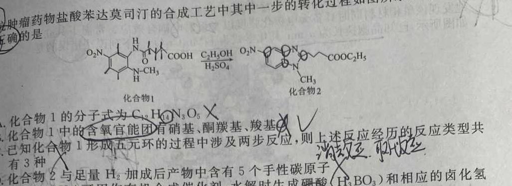 【热荐】NT20名校联合体高一年级12月考试化学