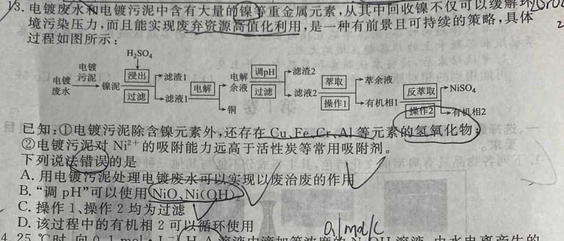 1金科大联考·河北省2024届高三12月质量检测（24328C-A)化学试卷答案