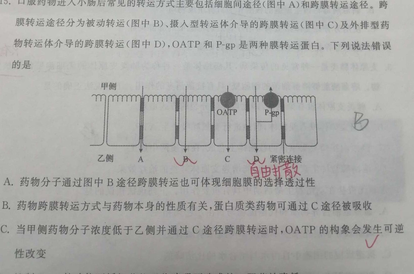 山东省烟台市2023-2024学年高二第一学期期末学业水平诊断考试生物