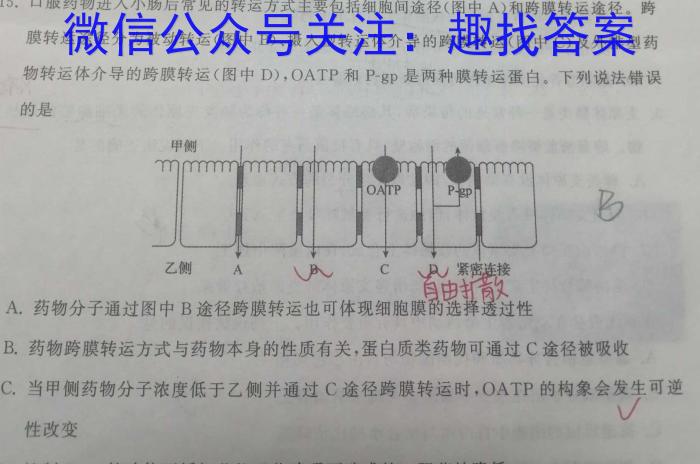 2024年普通高等学校招生统一考试 最新模拟卷(六)生物学试题答案